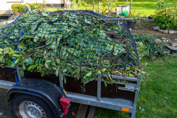 Moving and Downsizing Cleanouts in Hughesville, PA